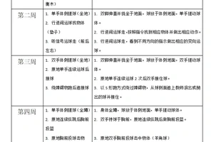 幼儿篮球训练计划安排表图片